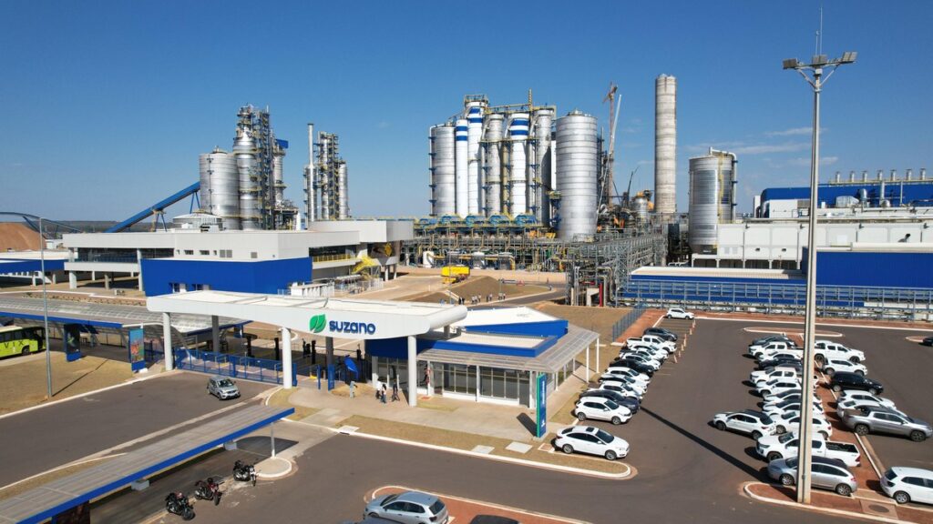 Suzano reverte prejuízo e registra lucro de R$ 5 bi, impulsionado por ganhos cambiais e maior receita | Empresas