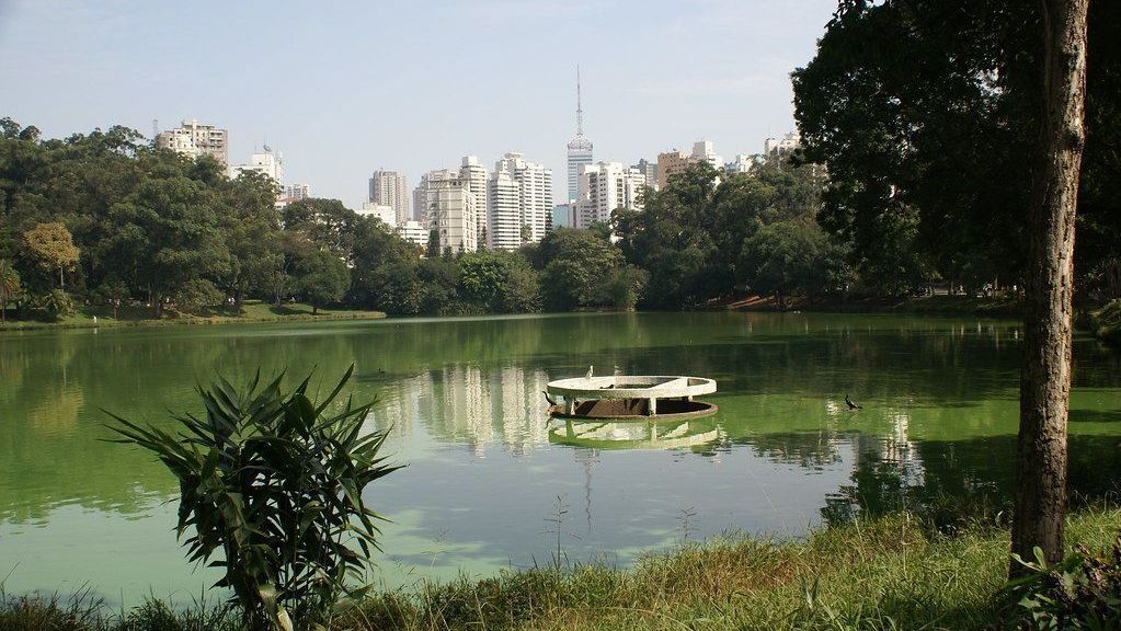 São Paulo terá semana de tempo firme e predomínio de sol São Paulo terá semana de tempo firme e predomínio de sol