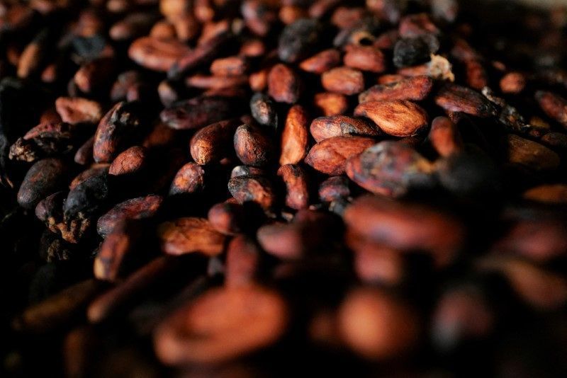 Futuros do cacau sobem 7,28% em NY com preocupações com clima e oferta Futuros do cacau sobem 7,28% em NY com preocupações com clima e oferta