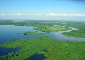 Câmara acelera revogação de decreto que ampliou unidade de conservação no Pantanal | Política
